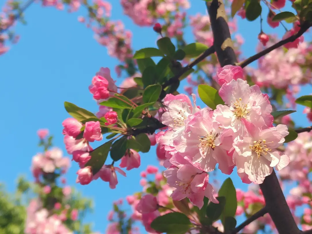 ef4b5e4fa3602a85275af59adc18362f-sz_395964