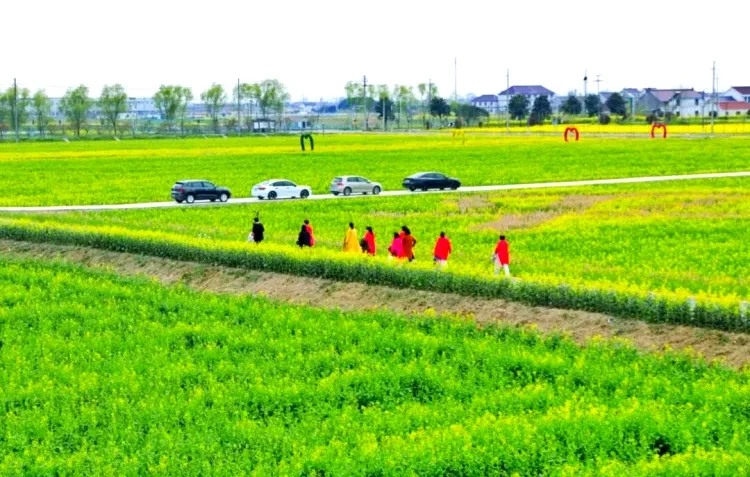 f0109fba91edf68c94c8d172370751da-sz_1137586 f0109fba91edf68c94c8d172370751da-sz_1137586