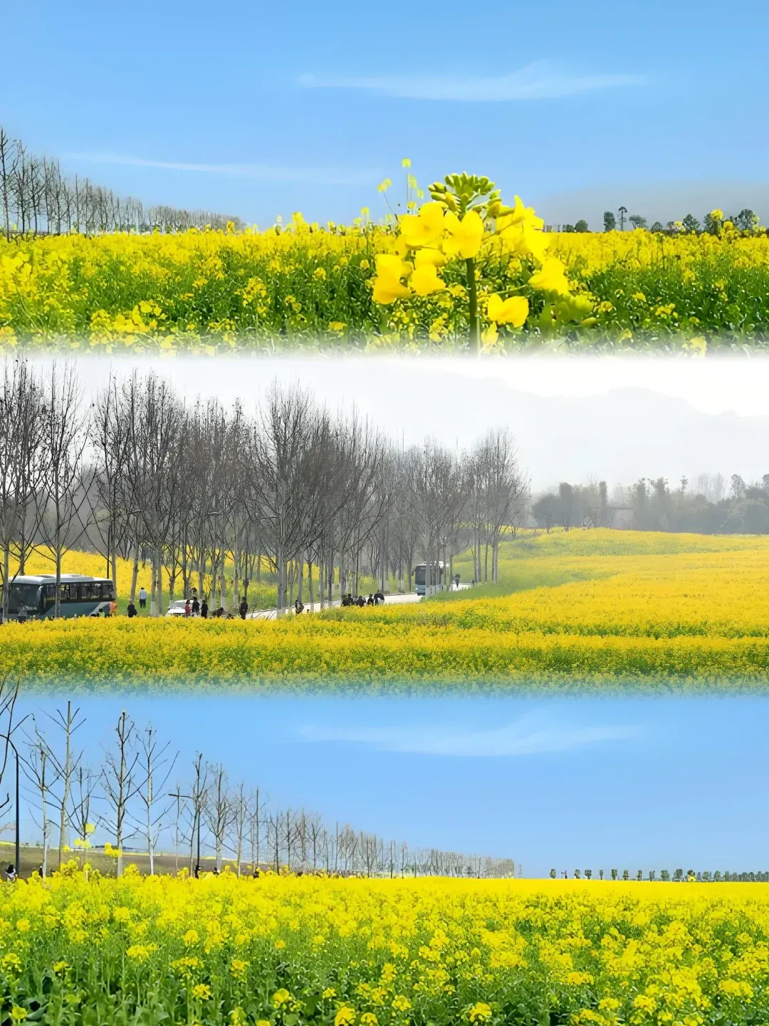 f04233df9bff8021d356998342ae67c5-sz_2171154