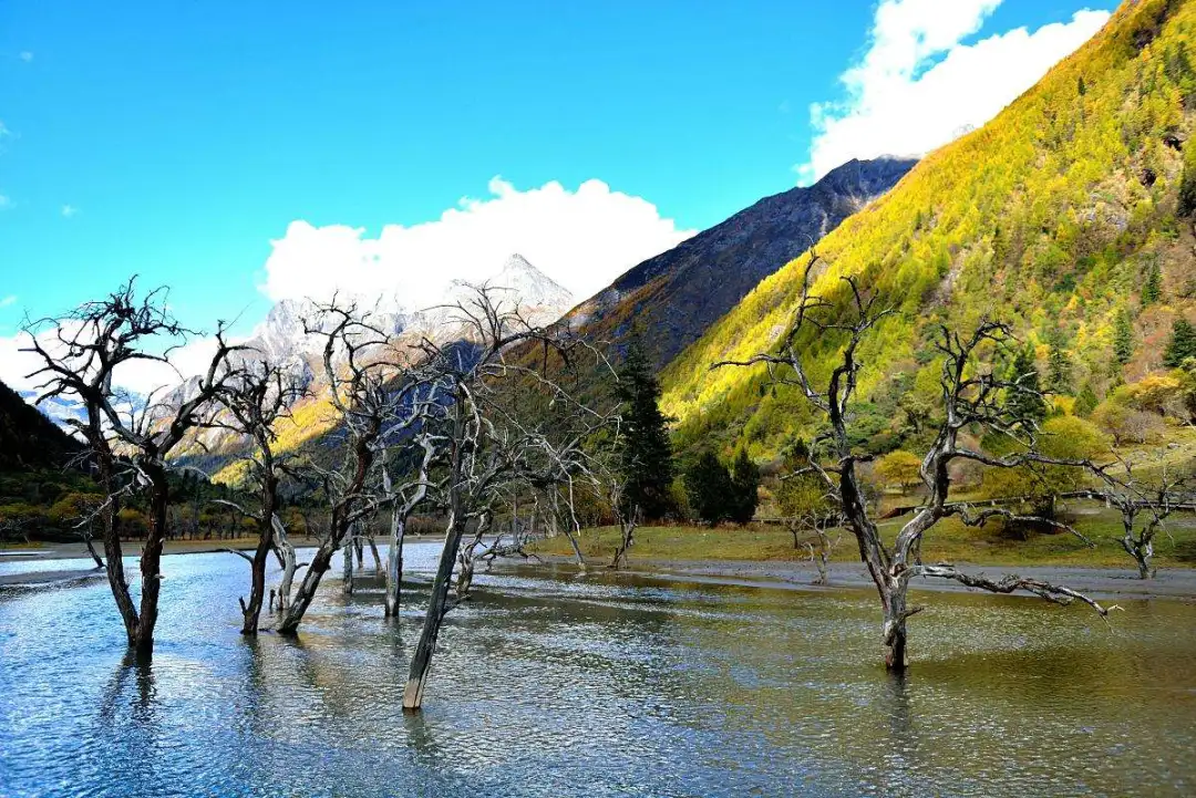 f09eb9200aacfc7372dbed1f9fada1fd-sz_219667-1