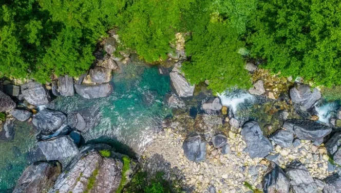 f1970a46139e6be47b56db726326e35f-sz_648980