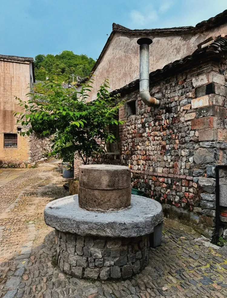 f1abe4894a4ac21ae51a4efe855876e0-sz_3955993