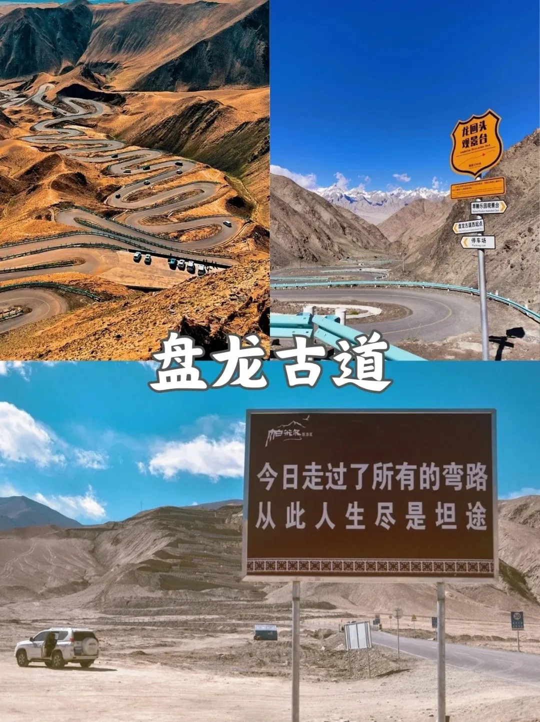 f1d246805bf2c23bca2918dab1221189-sz_471577