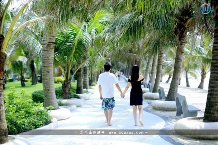 f1e6fb4a89a689cd1c1593a7eb441314-sz_92090