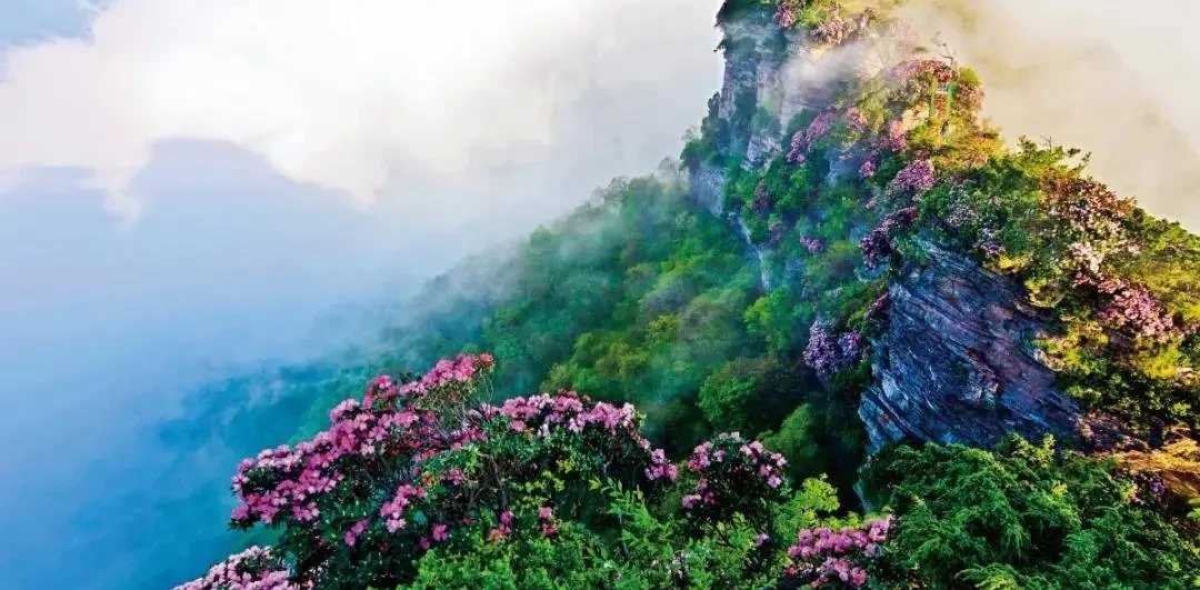 f1ed4d29a0177f656683f3876fc54ac2-sz_179419 f1ed4d29a0177f656683f3876fc54ac2-sz_179419