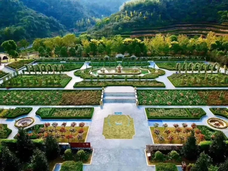 f269b3ba3b30f000c9dc2abf8224979b-sz_217663