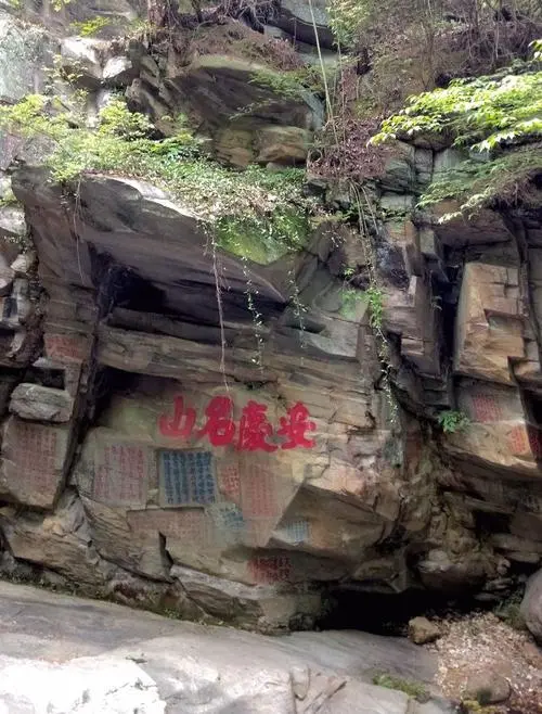 f29df743fa3421beb1a2ed1193883dd6-sz_76205