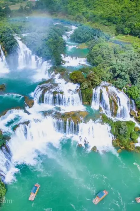 f2f44663ded1ae8e0dcef99d671a9b51-sz_313936-1