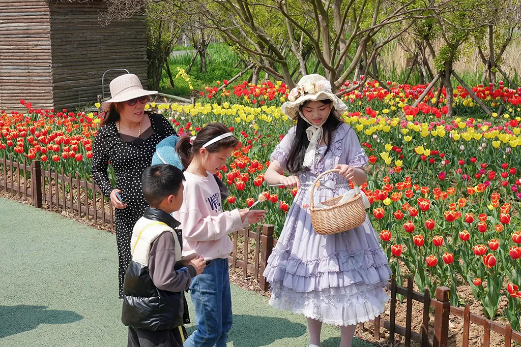 f2ffade7b7693ce1937ee3d584871b00-sz_1686991