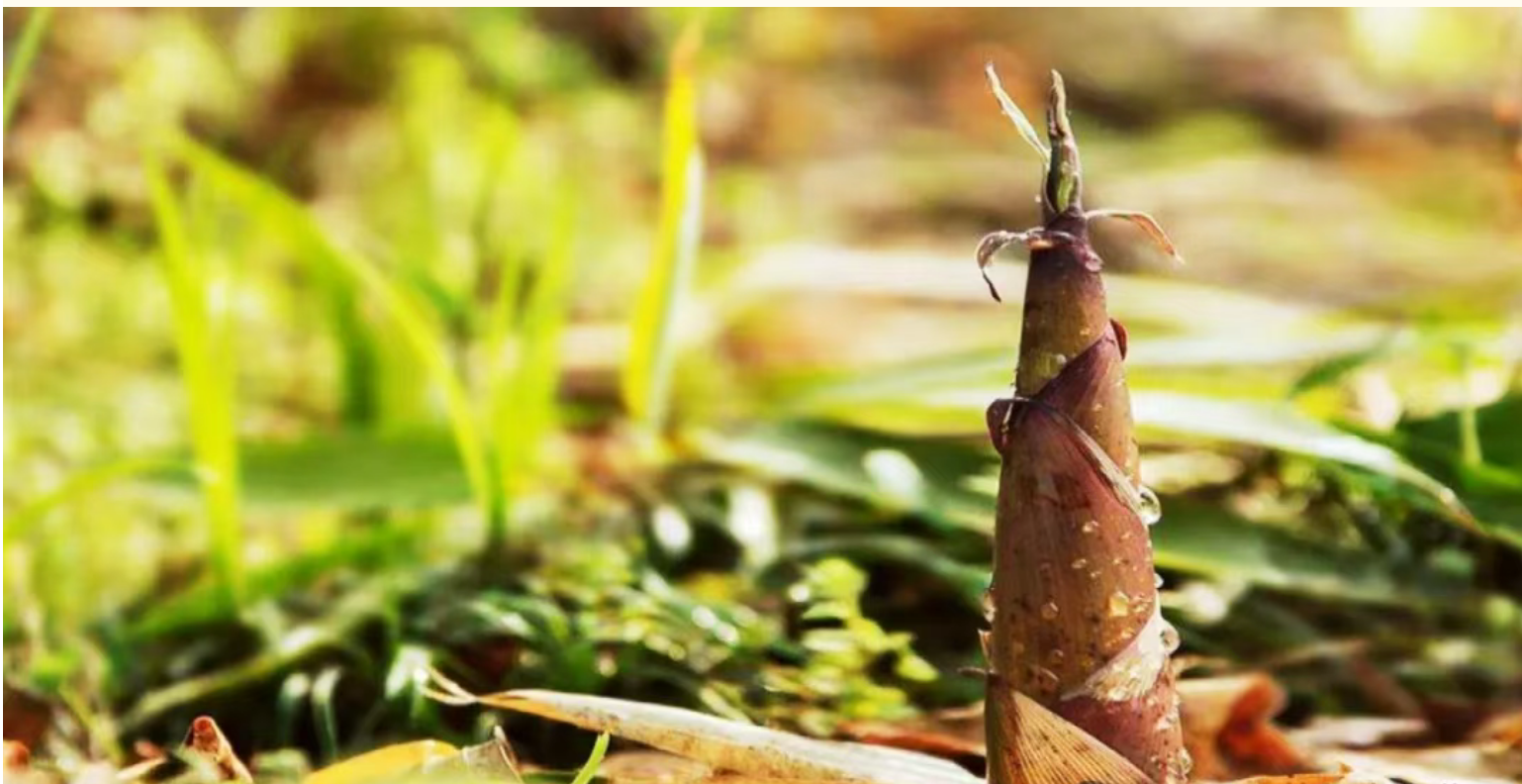 f351fc31210e1a4089829809406941bd f351fc31210e1a4089829809406941bd