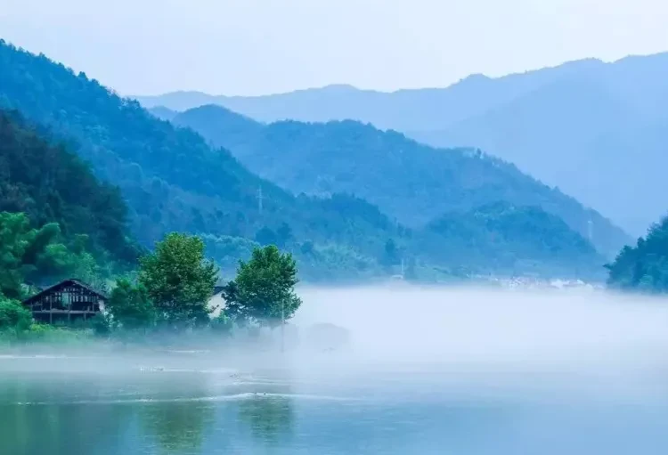 f3cb84a2841cefce7b93695331c53718-sz_512973