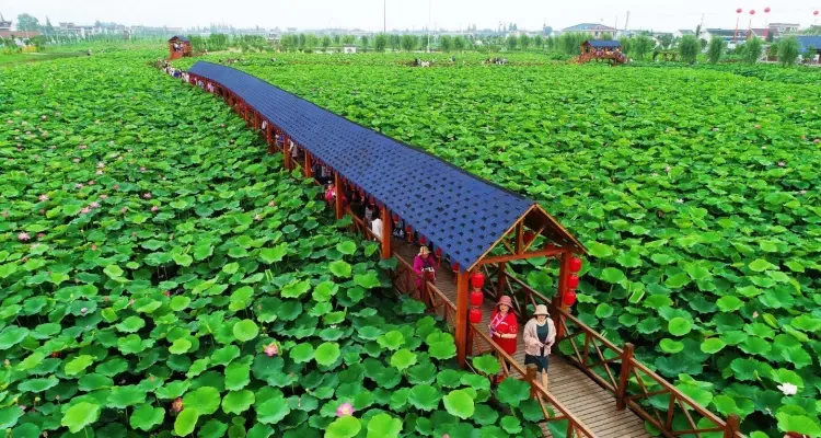 f3ff71b677888f99f14d6bb37d4e774d-sz_309947 f3ff71b677888f99f14d6bb37d4e774d-sz_309947