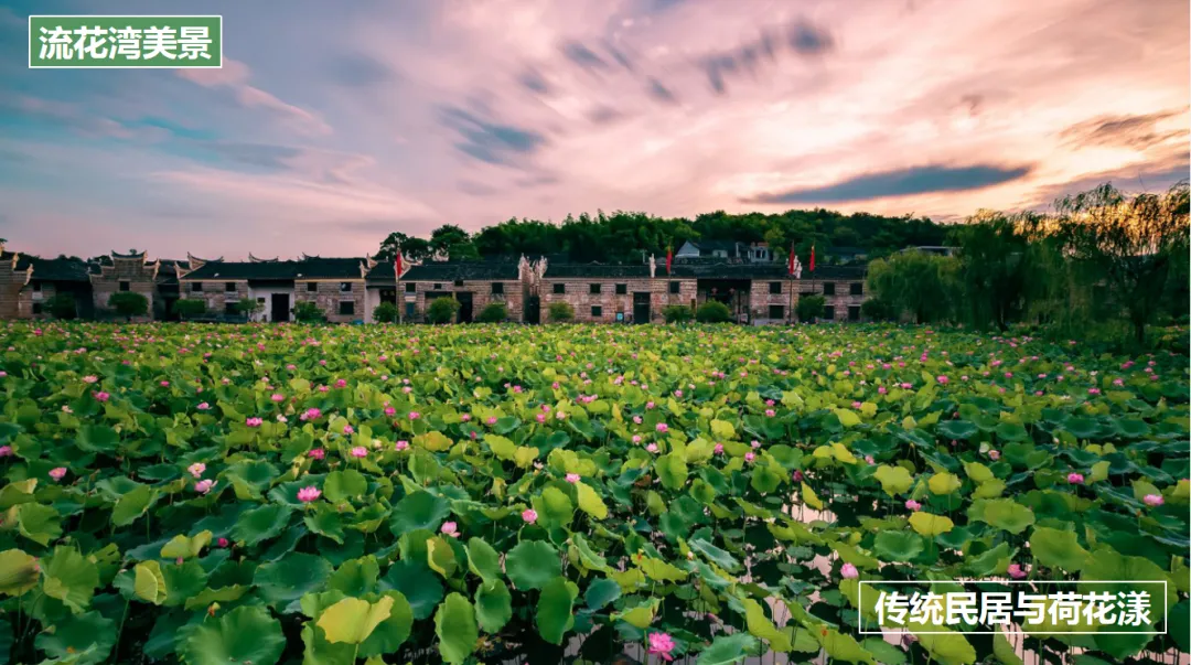 f416459668af465474a13b762c287870-sz_2463511