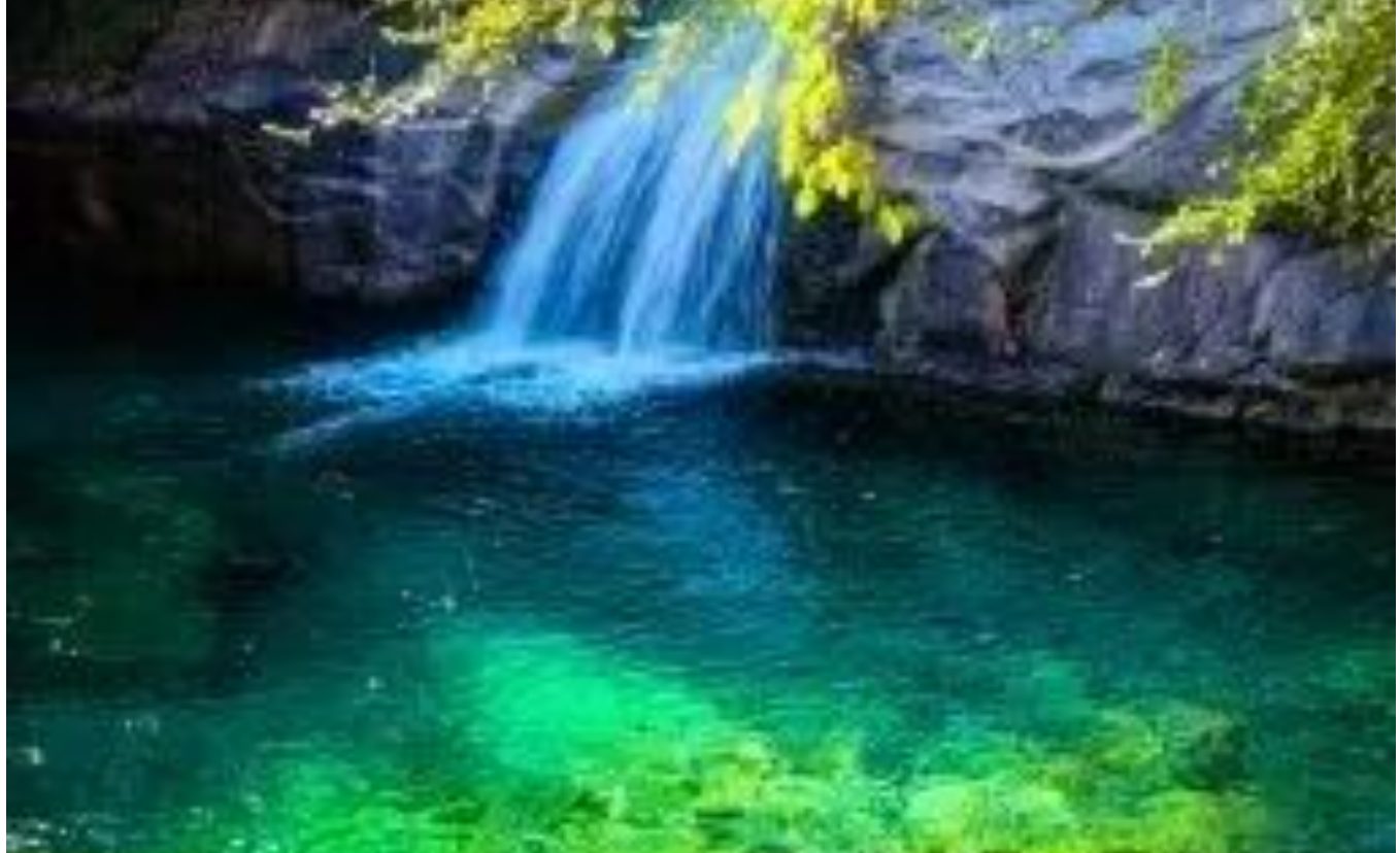 f4223c185606b839be3f6ae65c8d044f