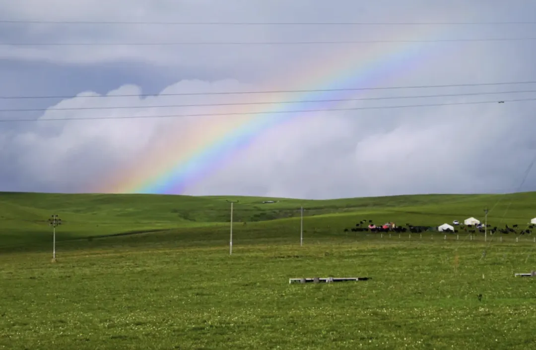 f478b270f3c50125bb06d1a6310b76d5-sz_1513147 f478b270f3c50125bb06d1a6310b76d5-sz_1513147