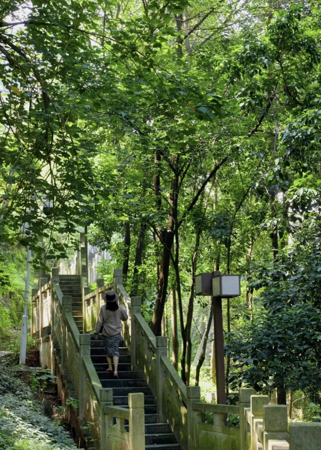 f48aad75da9ed6f256bd7a7ce4f5c969-sz_1583458 f48aad75da9ed6f256bd7a7ce4f5c969-sz_1583458