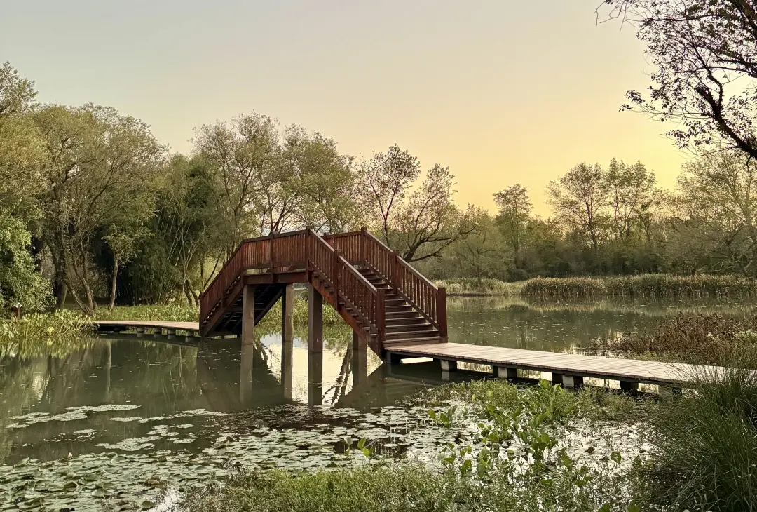 f4abad1d86ffc5a1b1431bdd6d0865c5-sz_3697593 f4abad1d86ffc5a1b1431bdd6d0865c5-sz_3697593