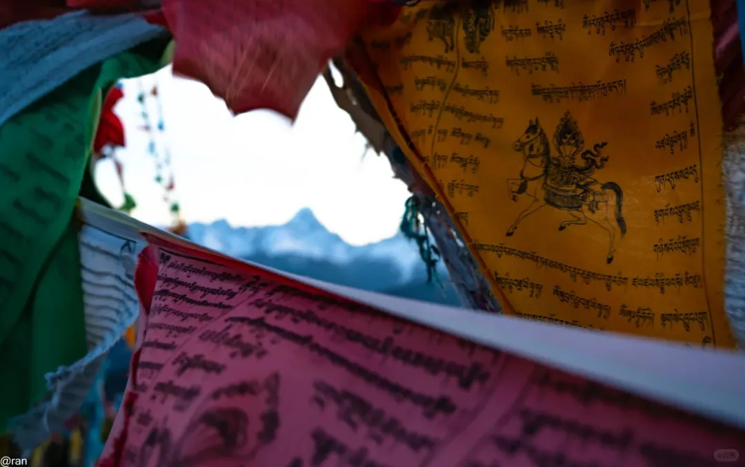 f4d599d592a8c8c8e9c9a6e46bb927e8-sz_254028