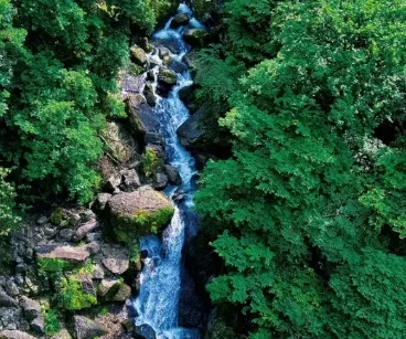 f4f60e5b8a76d2148b46e3f2ac8dca68-sz_354495