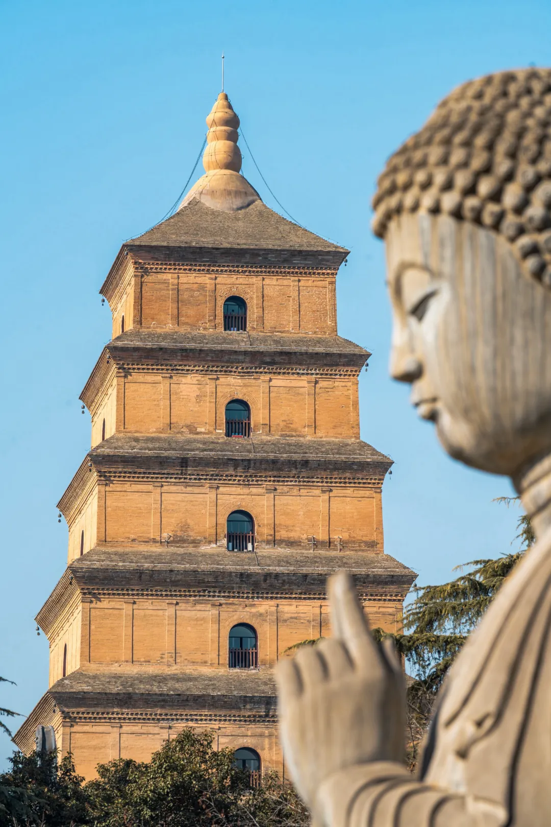 f6275a21ab1d4cb1a1571d33412c6d1c-sz_1126733