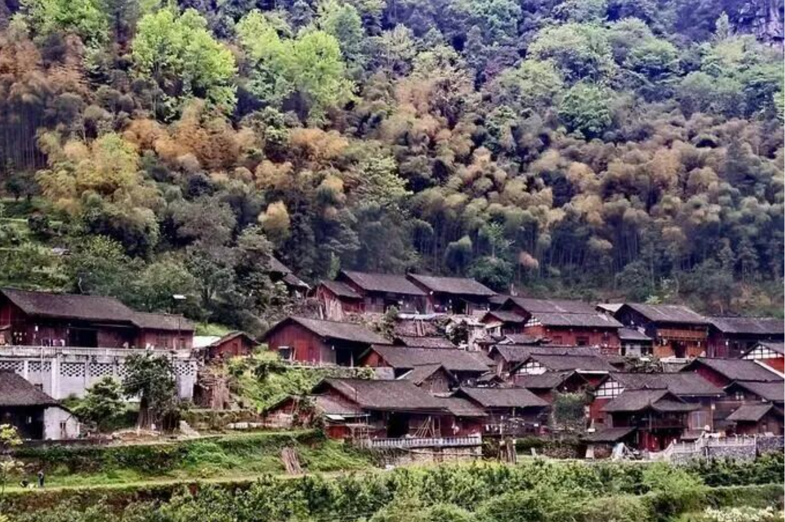 f646c86943951900f4de7bd7b2657fdf