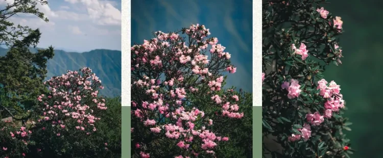 f647710f80e126c412929af1fcfd9ef2-sz_783517 f647710f80e126c412929af1fcfd9ef2-sz_783517