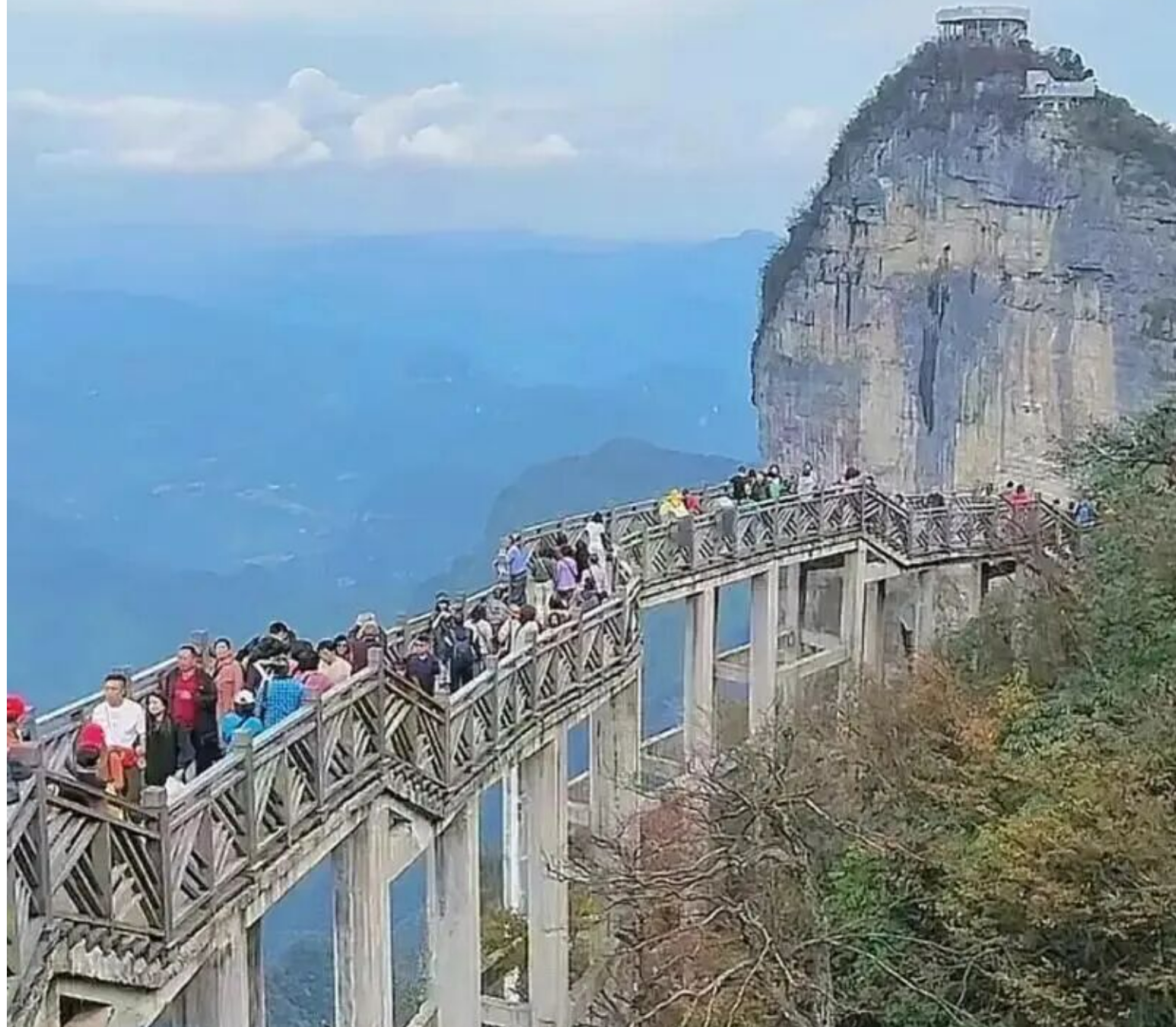 f6535fa5f51236ce453123f9fe82bed3