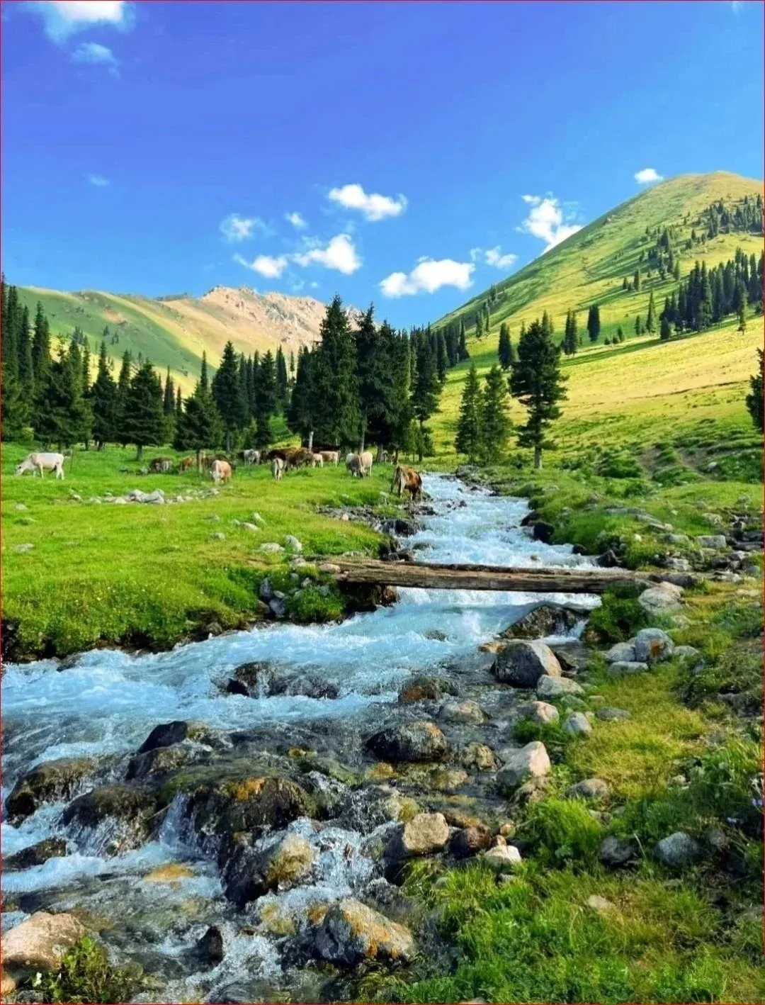 f65972616f38f76452c8ef83c52bdc41-sz_475022