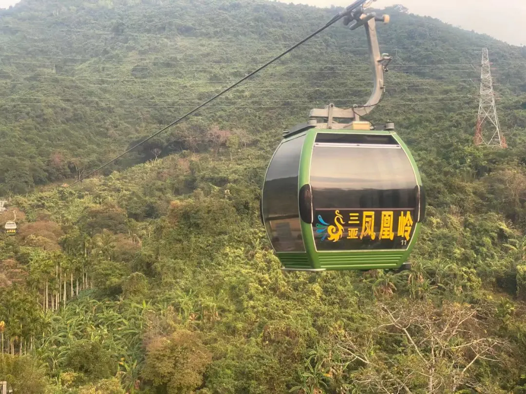 f6bfeb27e69bf1d5425b61d3ec55dafa-sz_356121 f6bfeb27e69bf1d5425b61d3ec55dafa-sz_356121