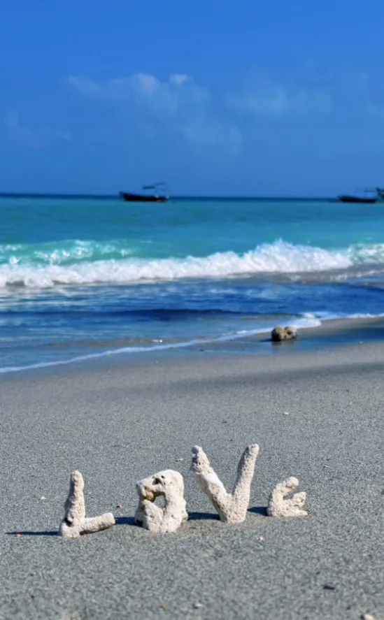 f6d4a40873e68233e6f4920d0d9948b5-sz_465882 f6d4a40873e68233e6f4920d0d9948b5-sz_465882