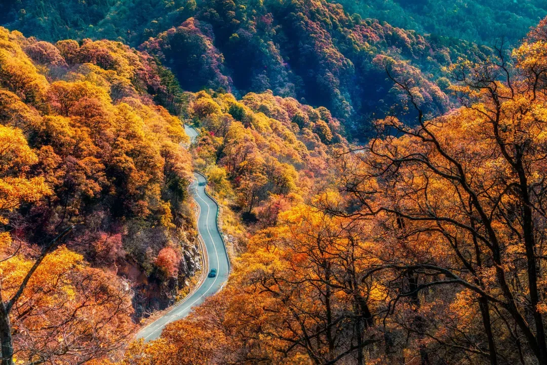 f6ea054f5aa1ee023d1a6b6e9a4f77a2-sz_2380095