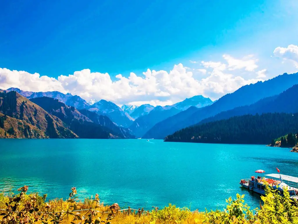 f7294338a9591065e776d056324f289c-sz_109132