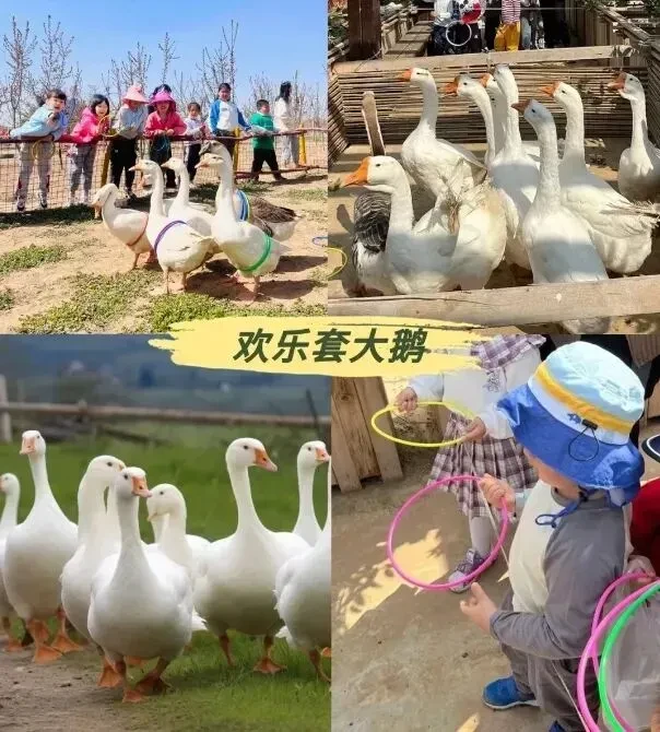 f786a6f9b5d836e0905d18c8f39df9c5-sz_97860