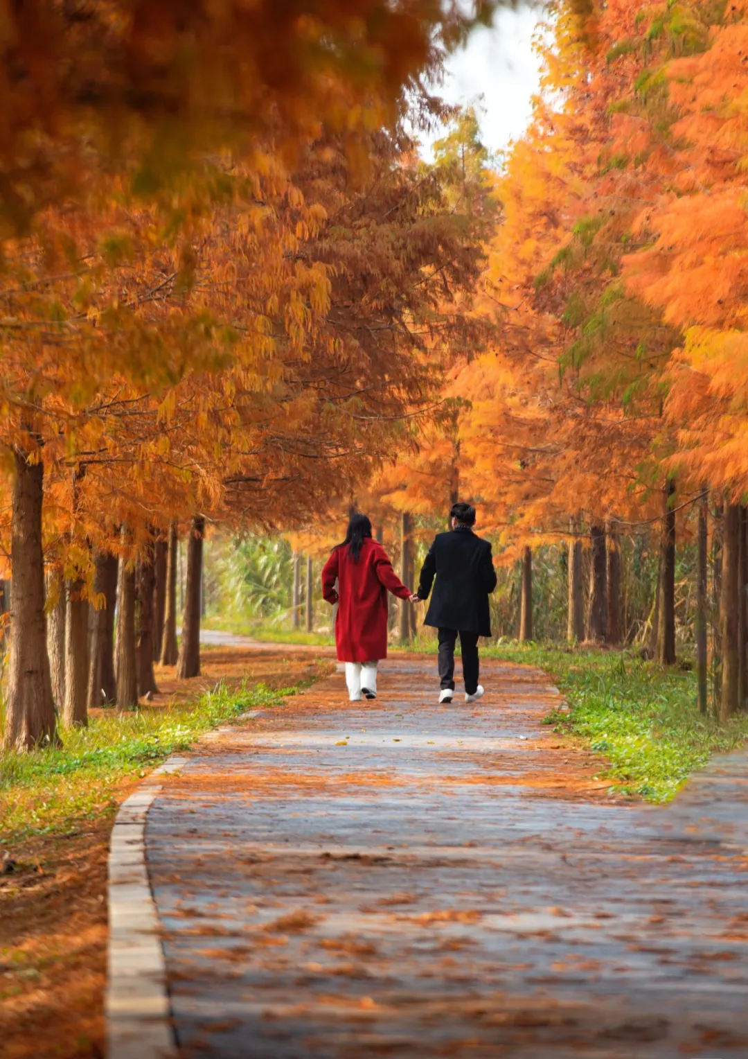 f798bd8b04549a6622622ff7233d613f-sz_1757644-1 f798bd8b04549a6622622ff7233d613f-sz_1757644-1