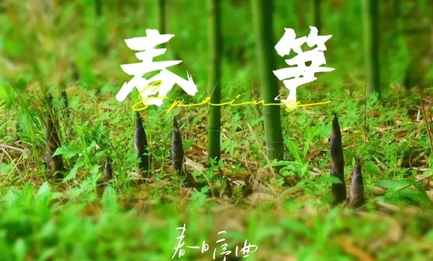 f7ed97e12baf9ff218dba93150aafc5a f7ed97e12baf9ff218dba93150aafc5a