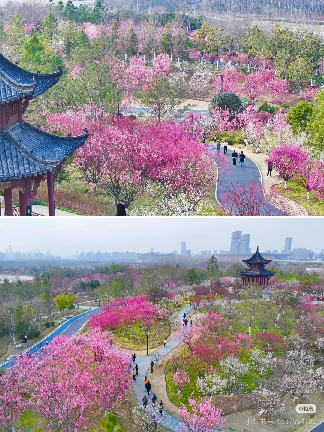 f8286c7e41834721d52e0ea5dfcca07c-sz_2635025