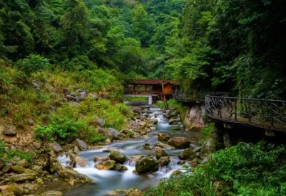 f82f26c6585fb63bd02978260ad827d3-sz_332923