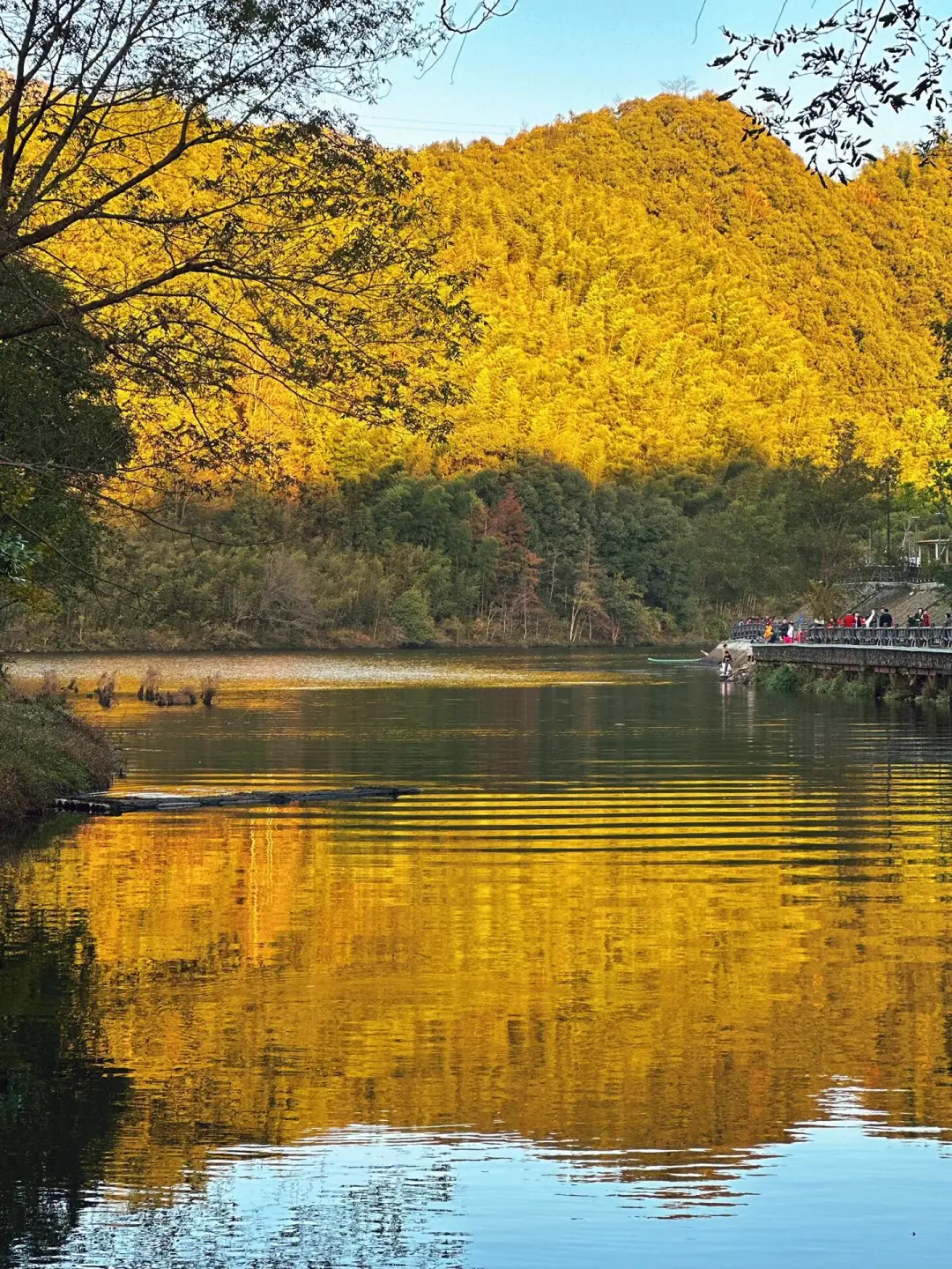 f879bd4337b62facf72276e062b708c1-sz_763860