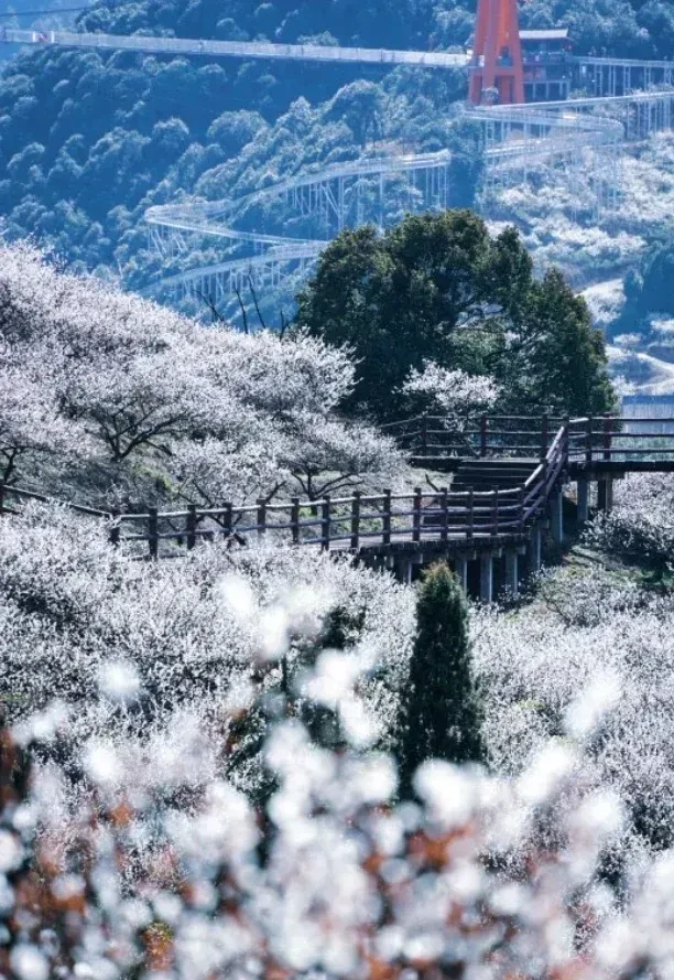 f886e786eebab769a85cdb887c7982d7-sz_1329909