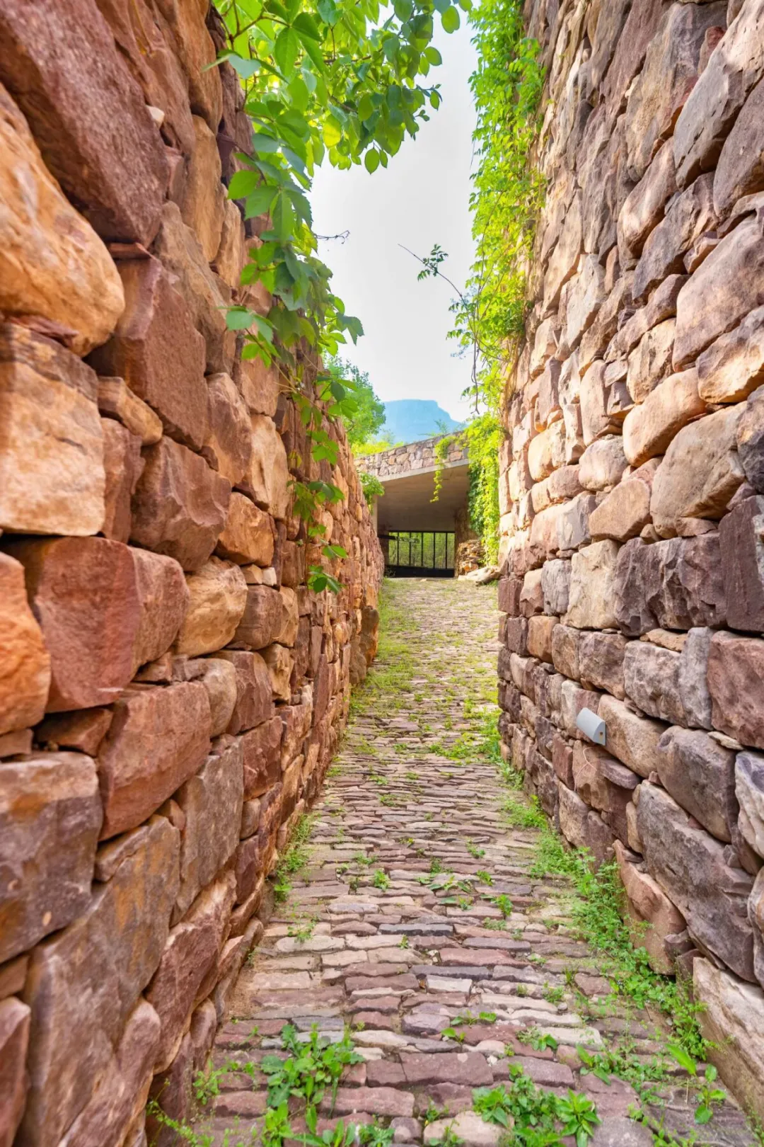 f8daa05d9e7509a2c773bfee6a1c47fc-sz_579303