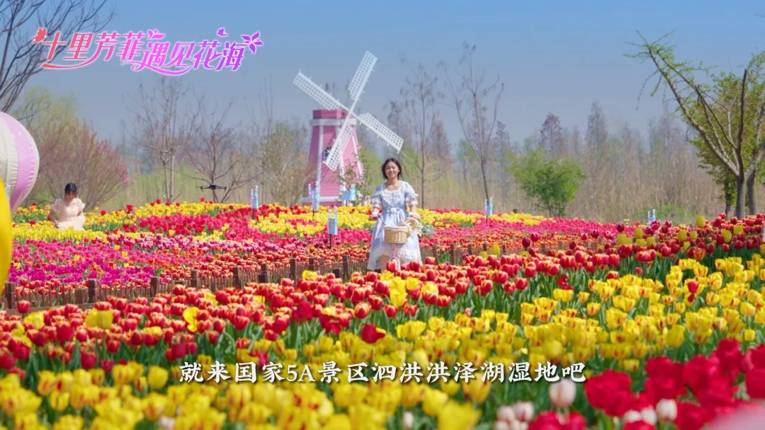 f959ccf05603bc439ab8e0e30756918f-sz_248208