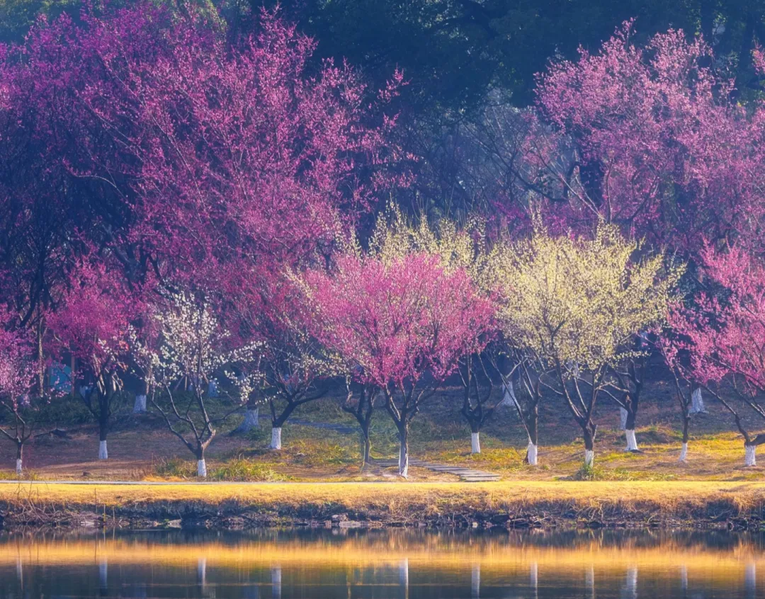 f9c540e6073809d3becde6542db86867-sz_1936426