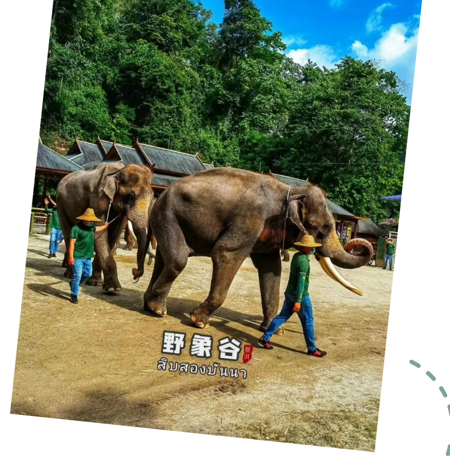 f9c8a03dbb3298f7d06e125df482b046