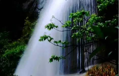 f9e3a6ac84e3391b50beaae6f4a29227-sz_340472