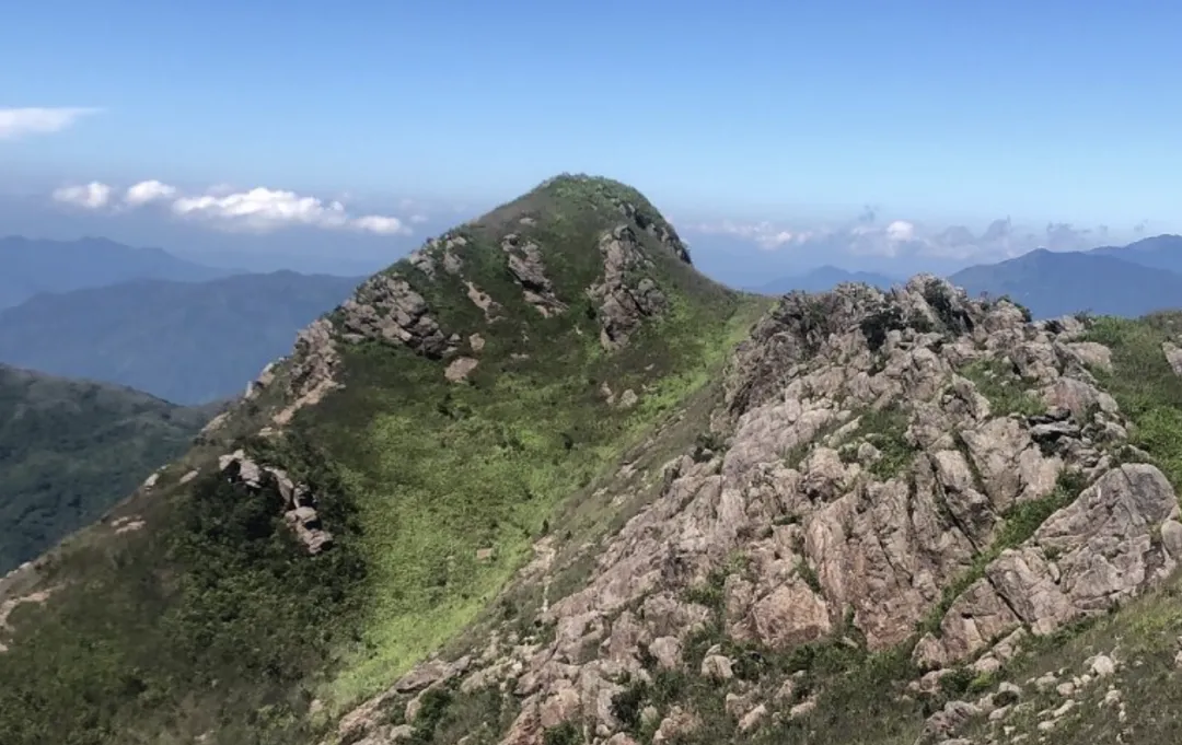 fa7f36f5bb02e8a8b613edabfddd0830-sz_1468419-1