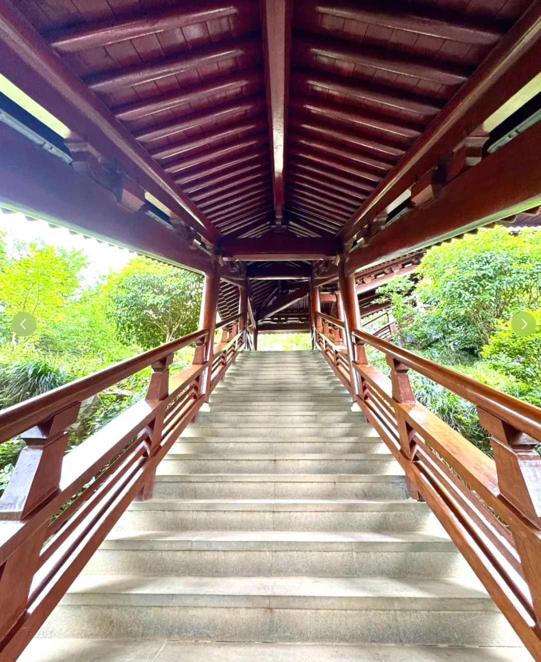 fab26f1202f8257503e34cec2bb02161-sz_1450460