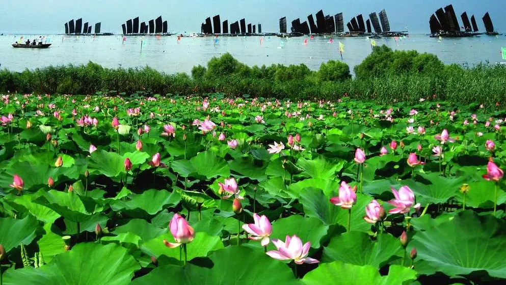 fae3236aaa7a3e1bfe02de499c6913ad-sz_161638