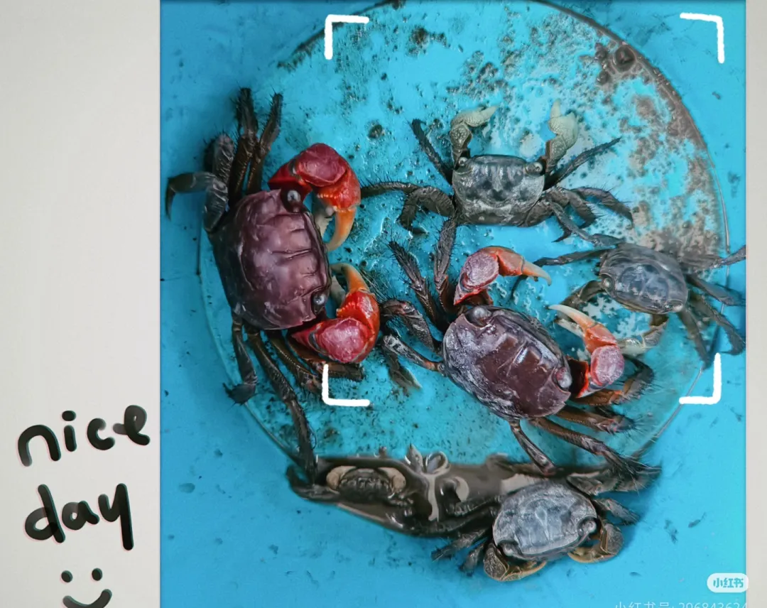 fb6ffb39334eb0d6d18f6e19946ebfda-sz_1071617