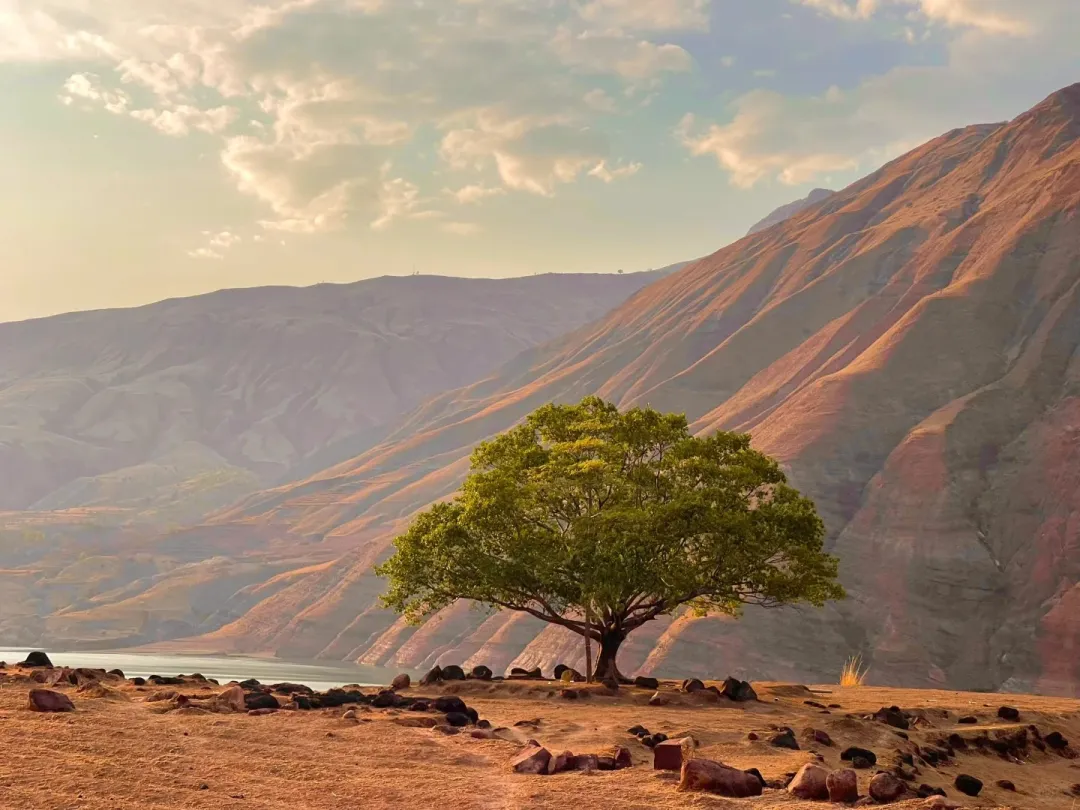 fbd9a3f52bd7a17b84cae04ea6a038fd-sz_385280