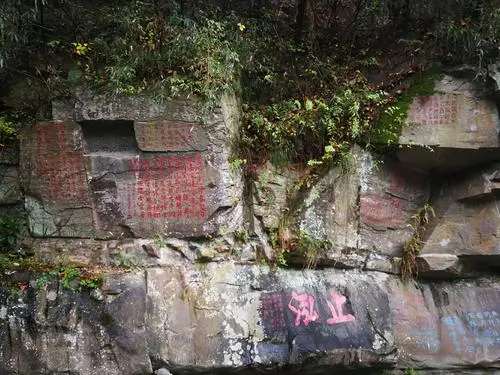 fcc1e7f7f8bb2b0a03a7898d08b184ed-sz_52845